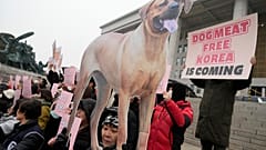 Aktivisten vor dem Parlament in Seoul am 9.1.24