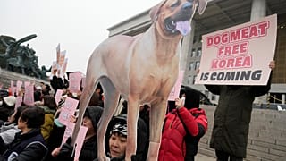 Aktivisten vor dem Parlament in Seoul am 9.1.24