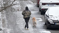 A person walks the dog Tuesday, Jan. 9, 2024 in Ville d'Avray, outside Paris, where temperatures fell under zero degree Celsius.