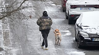 A person walks the dog Tuesday, Jan. 9, 2024 in Ville d'Avray, outside Paris, where temperatures fell under zero degree Celsius.