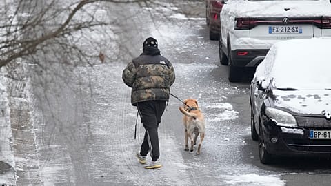 A person walks the dog Tuesday, Jan. 9, 2024 in Ville d'Avray, outside Paris, where temperatures fell under zero degree Celsius.