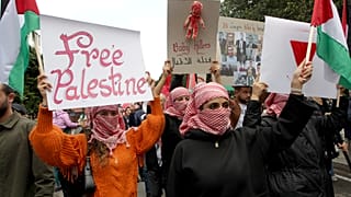 تونسيون يلوحون بالأعلام ويرددون شعارات تضامنا مع الفلسطينيين