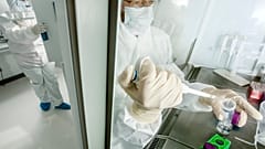 Genetic legacy helps explain why northern Europeans have a higher risk of multiple sclerosis than other ancestries.