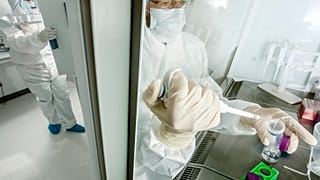 Genetic legacy helps explain why northern Europeans have a higher risk of multiple sclerosis than other ancestries.