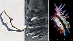 Who won the Best Art Vinyl Award?  