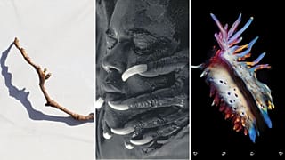 Who won the Best Art Vinyl Award?  