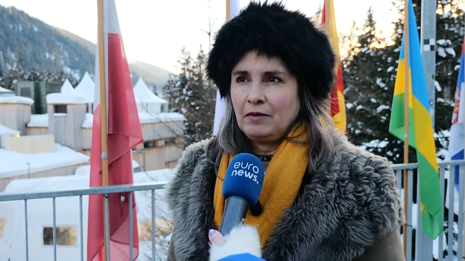 Jojo Mehta, cofundadora y directora ejecutiva de Stop Ecocidio International, durante una entrevista con Euronews en Davos
