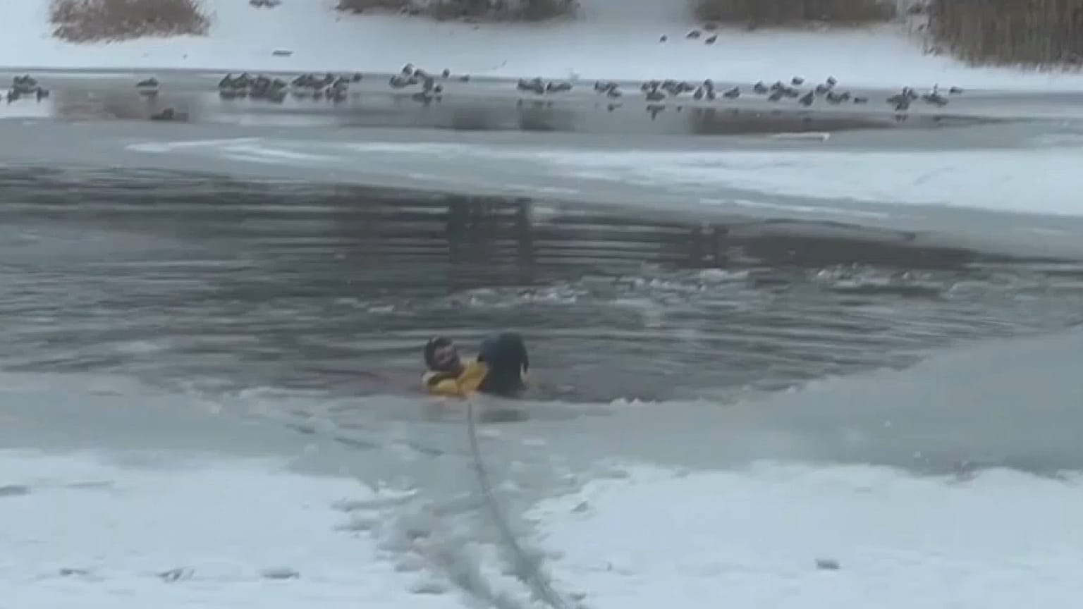 Feuerwehrmann rettet ins Eis eingebrochenen Hund in den USA