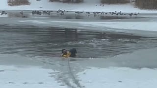 Feuerwehrmann rettet ins Eis eingebrochenen Hund in den USA