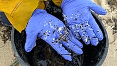 Kleine Plastikkügelchen verschmutzen die Strände an Spaniens Atlantikküste