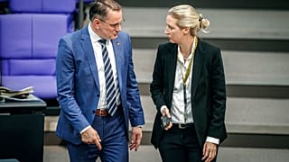 Tino Chrupalla (gauche), président de l'Alternative pour l'Allemagne (AfD), et Alice Weidel (droite), à la tête du groupe parlementaire de l'AfD.