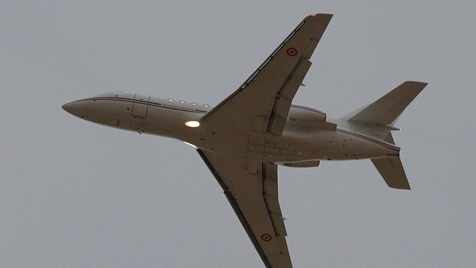 aereo Falcon