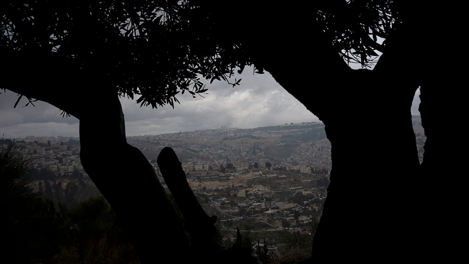القدس - 2023/02/03