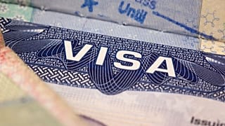 عکس تزئینی است