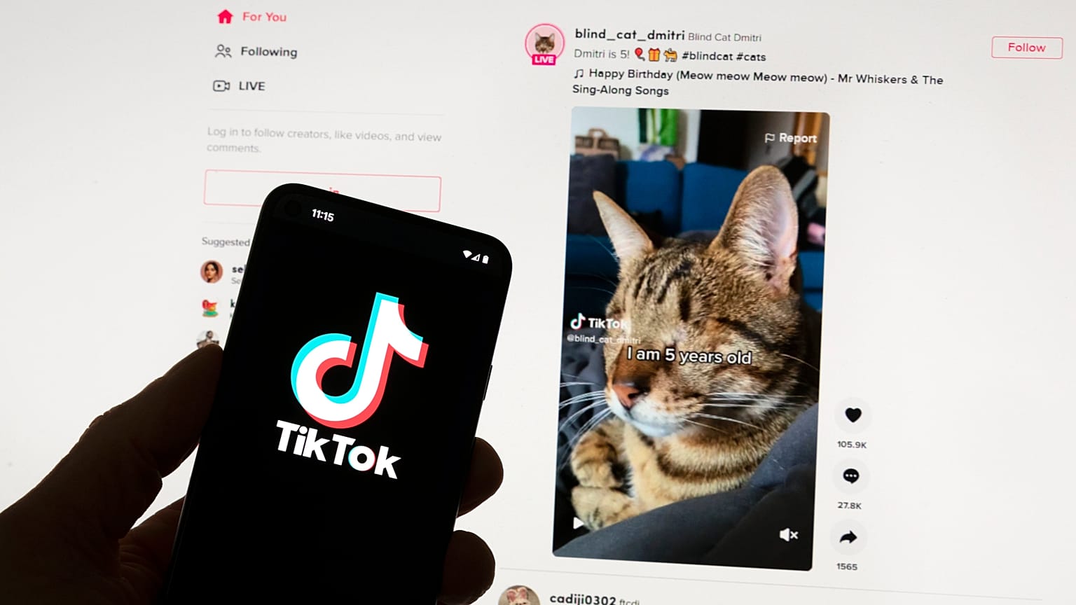 TikTok logó