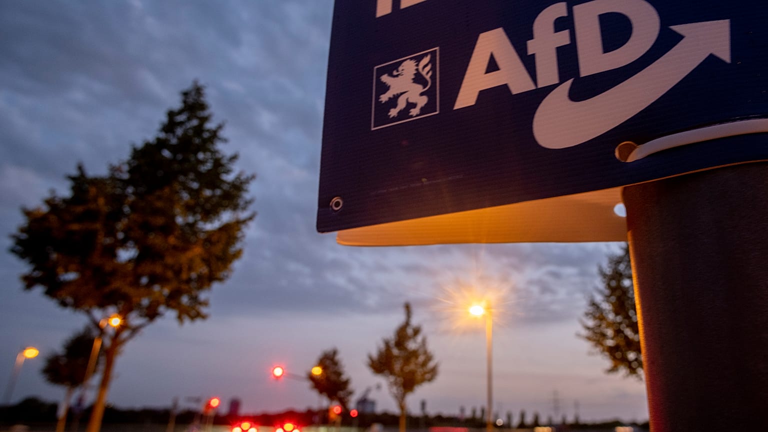 Poster electorla de AfD.
