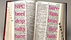 These are just some of the modern Gen Z slang terms English-learners in the UK are asking teachers to explain.