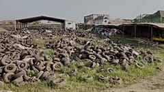 Used tyres at Freee Recycle company