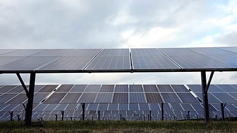 Solar panels are seen at the DTE O'Shea Solar Park work in Detroit. 2022.
