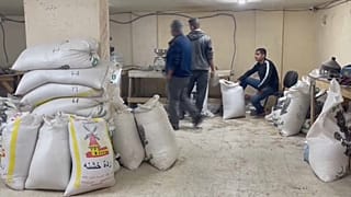 علف الحيوانات لصنع الخبز في غزة.