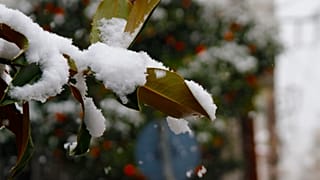 Χιονόπτωση