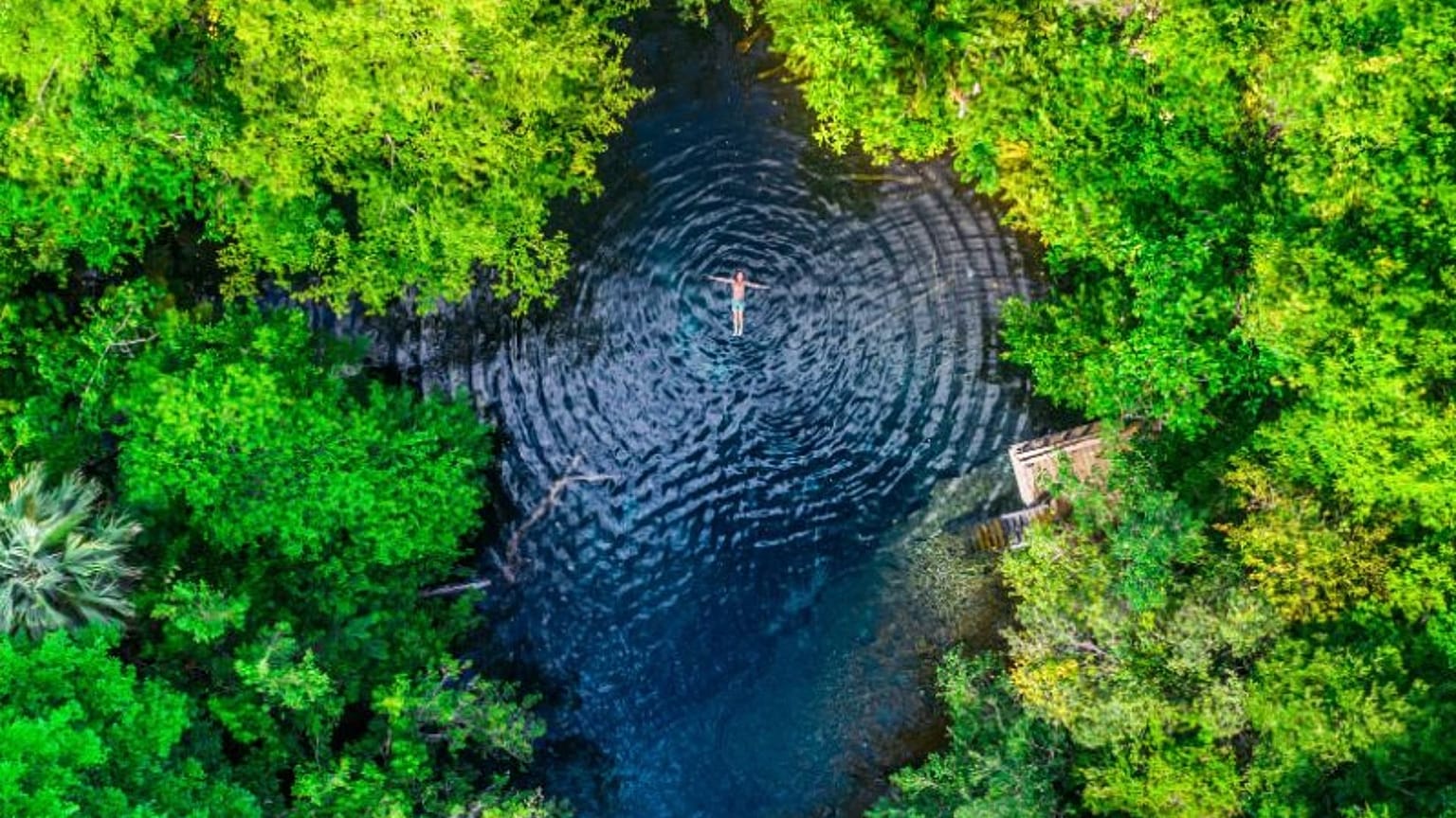 Punta Cana's Hoyo Azul is a mesmerising blue sinkhole nestled in lush rainforest.