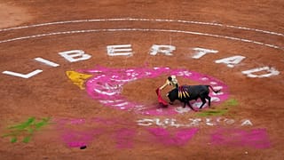 Stierkämpfe in Mexiko-Stadt sind wieder erlaubt