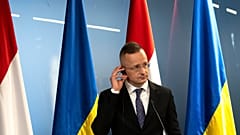 Глава МИД Венгрии Петер Сийярто на пресс-конференции в Ужгороде после переговоров с украинским коллегой