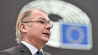 Belgian Green MEP Philippe Lamberts debating reform of the EU's economic governance framework in the European Parliament on 17 January.