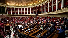 Dier Nationalversammlung in Frankreich (Archiv)