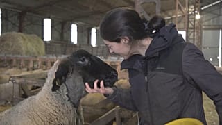As razões da cólera dos agricultores franceses