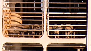 extract video