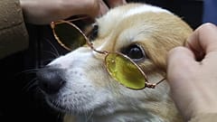 Иллюстрационное фото