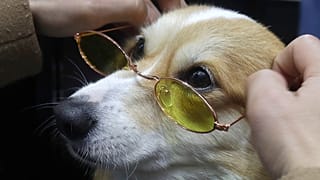 Иллюстрационное фото