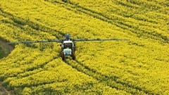 In Zukunft werden französische Landwirt:innen wohl wieder mehr auf Pestizide setzen können.