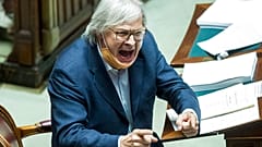 Vittorio Sgarbi