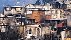Chile nach den verheerenden Waldbränden