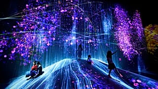 Museo TeamLab Borderless