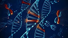 X chromosome