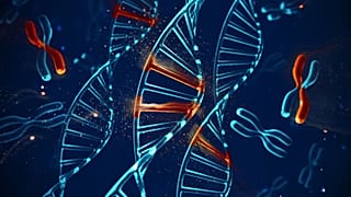X chromosome