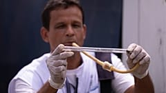 Um agente de saúde pública segura um tubo com um mosquito capturado para ser testado