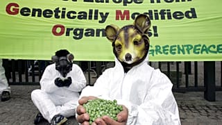 Un attivista di Greenpeace indossa una maschera da topo davanti a uno striscione contro gli alimenti geneticamente modificati, fuori dalla sede del Consiglio europeo a Bruxelles. 2005