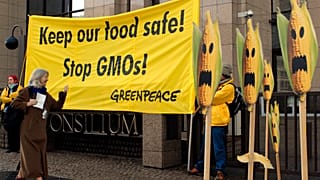 Europe has a long history of opposition to GMO crops, whose cultivation is currently banned in most EU countries.