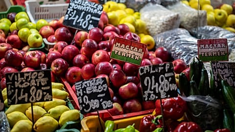Domestic harvested fruits and vegetables are displayed in Budapest's Grand Market Hall on Saturday, April 8, 2023.