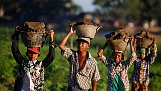 A new EU law forces companies to check labour and environmental practices