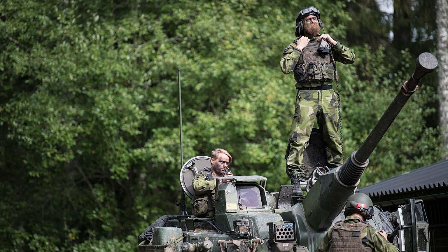 Ejército de Suecia