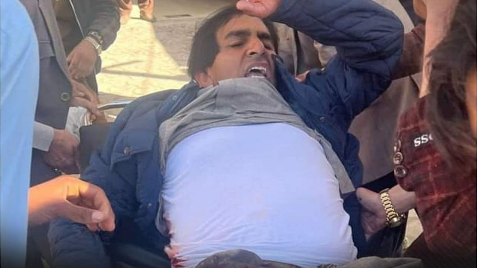 محسن داور
