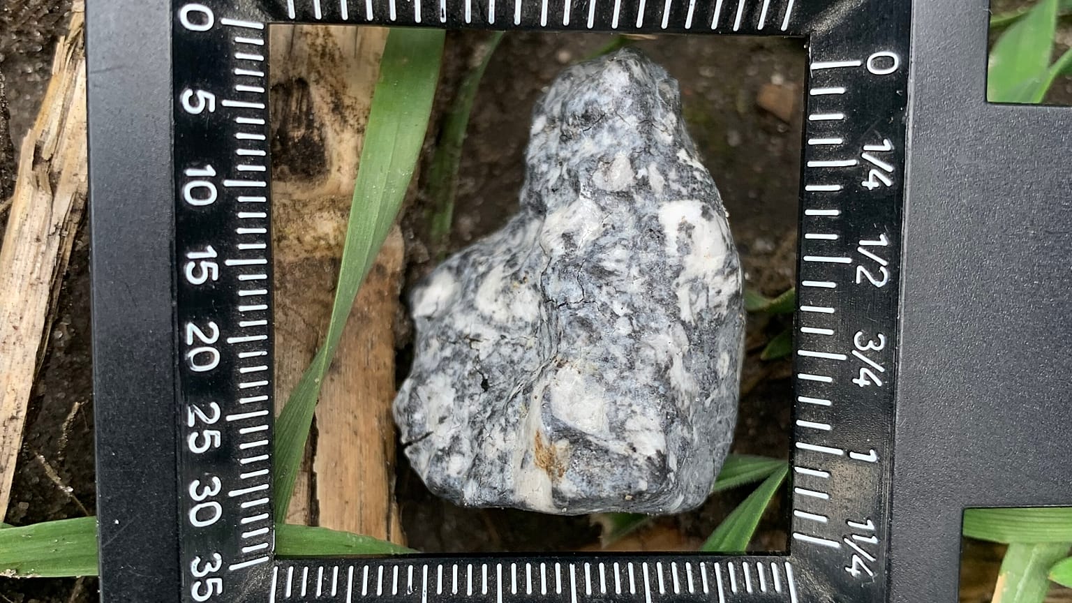 Berlin yakınlarında bulunan meteor parçası. 