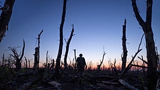 Ukrainische Soldaten gehen durch einen verkohlten Wald an der Frontlinie bei Andrijiwka, Region Donezk