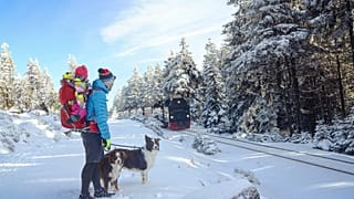 Why not head to the snow by train - in Germany or elsewhere? 